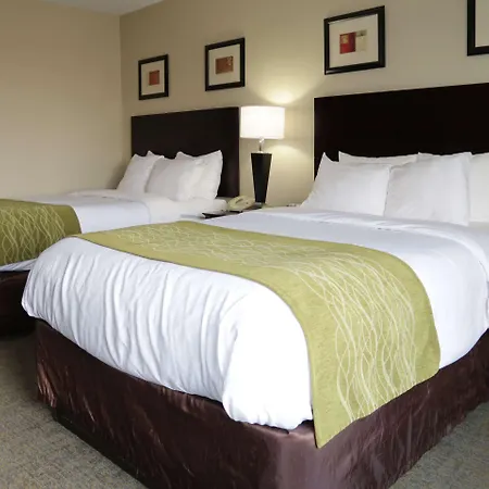 Comfort Inn Southwest Fwy At Westpark Houston Exterior foto