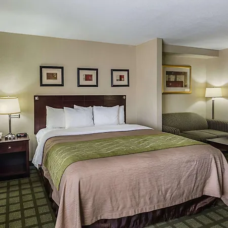 Comfort Inn Southwest Fwy At Westpark Houston Exterior foto